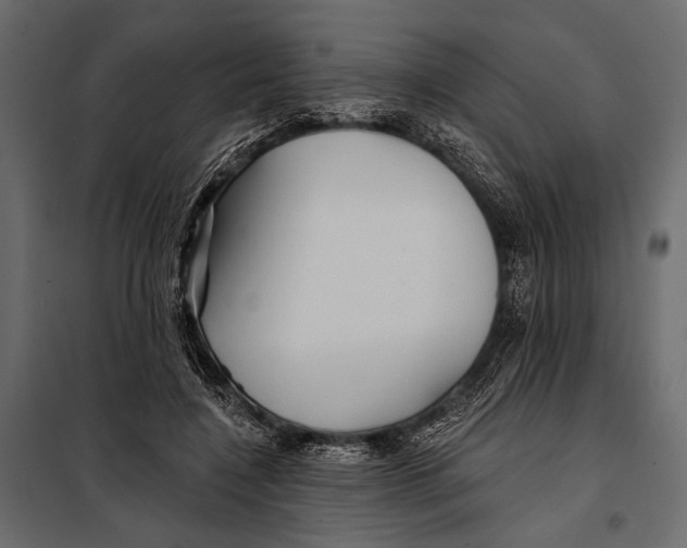 X0000098030548200804251417