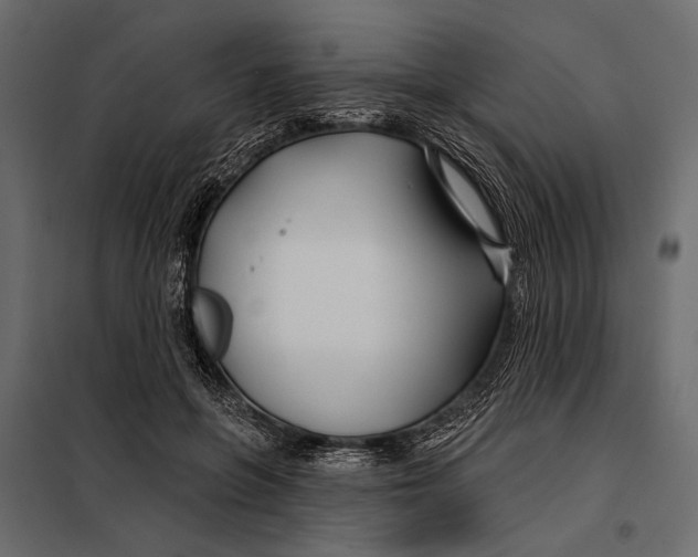 X0000098030551200804251417