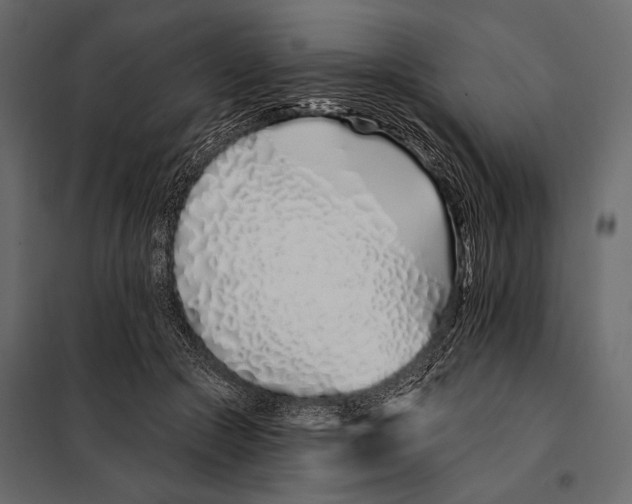 X0000098030553200804251417