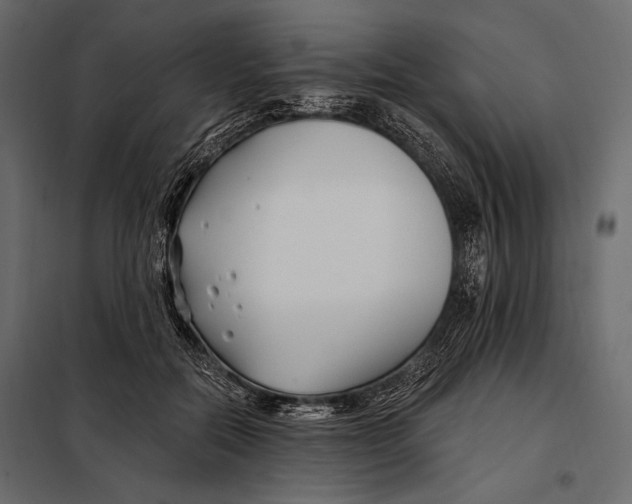 X0000098030554200804251417