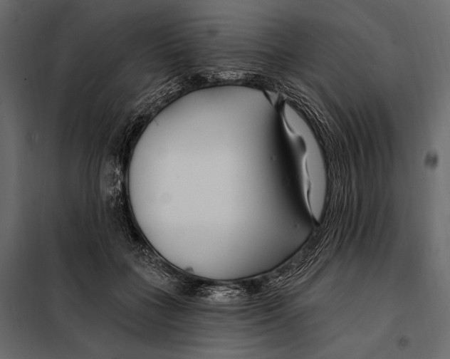 X0000098030555200804251417