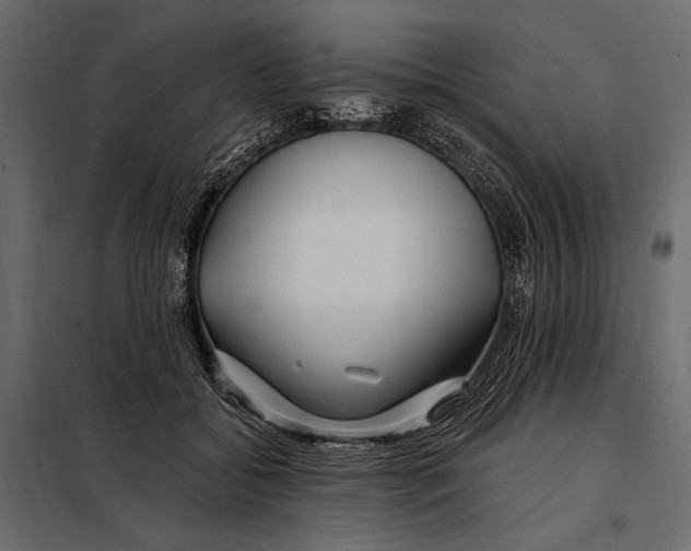 X0000098030556200804251418