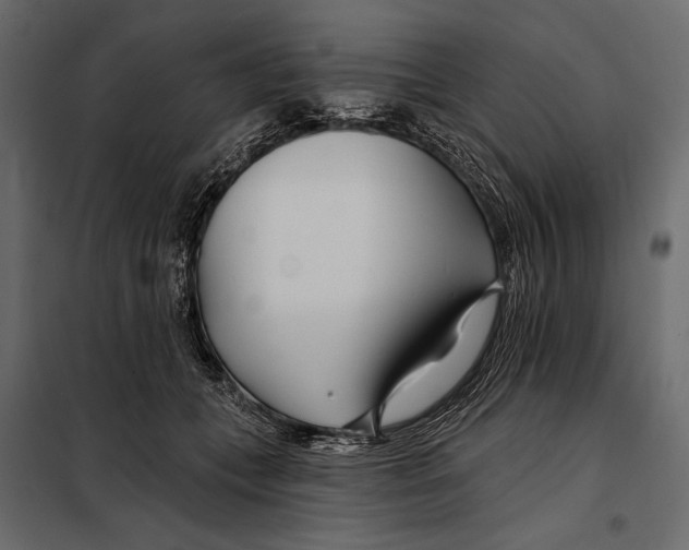 X0000098030559200804251418