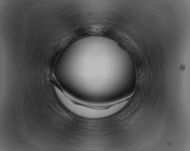 X0000098030562200804251418