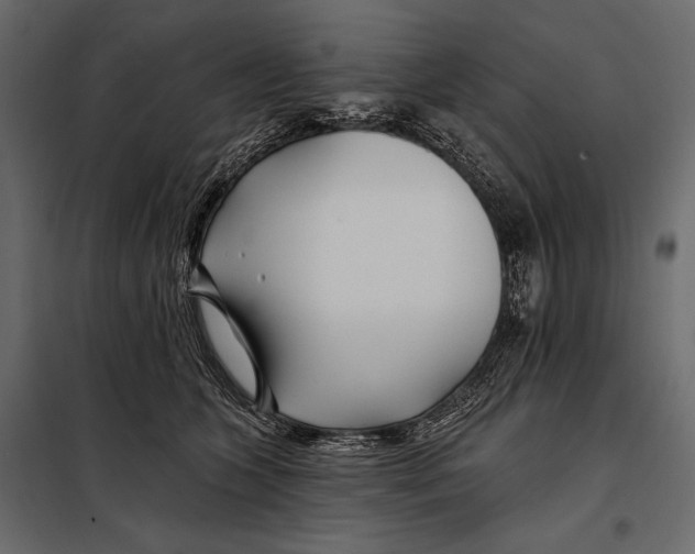 X0000098030563200804251418