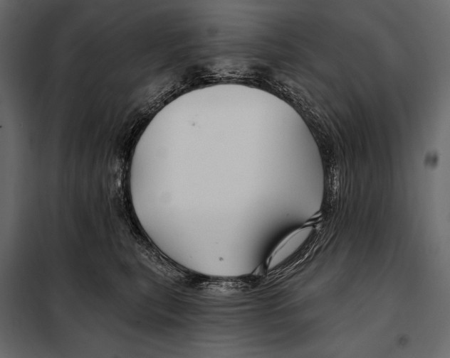 X0000098030567200804251418