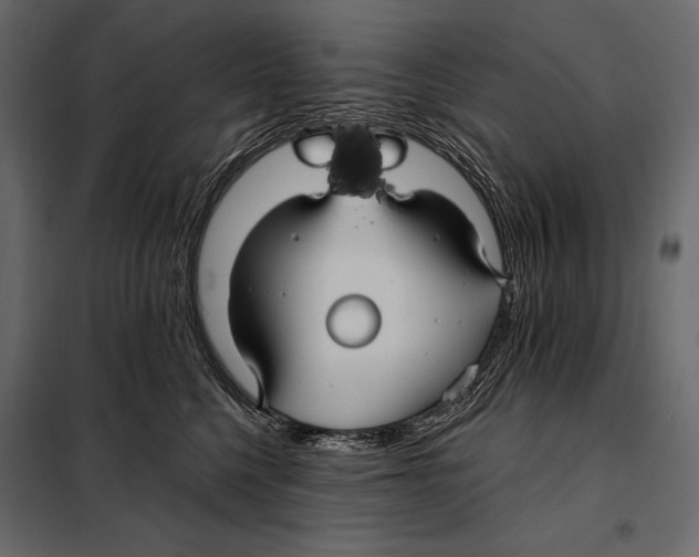 X0000098030568200804251418