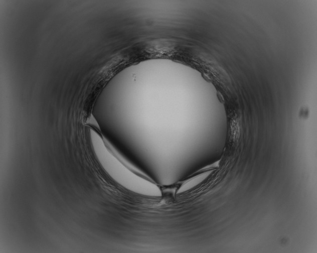 X0000098030570200804251418