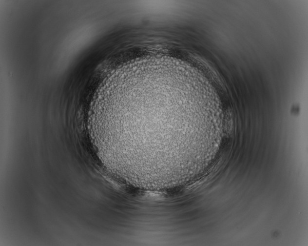 X0000098030573200804251418