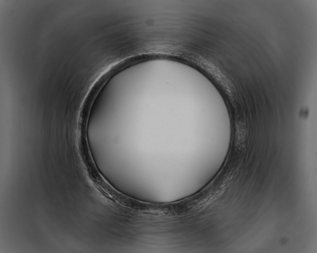 X0000098030580200804251417