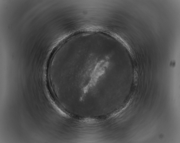 X0000098030581200804251417