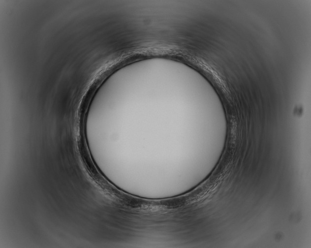 X0000098030582200804251417