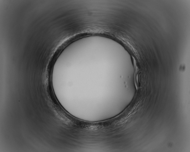 X0000098030584200804251417