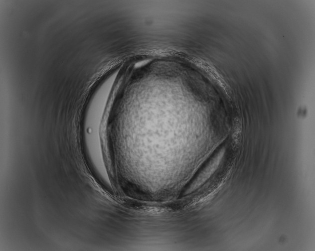 X0000098030585200804251417