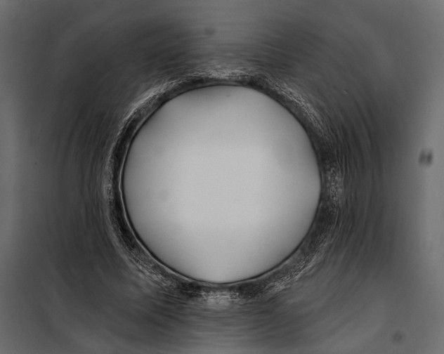 X0000098030587200804251417