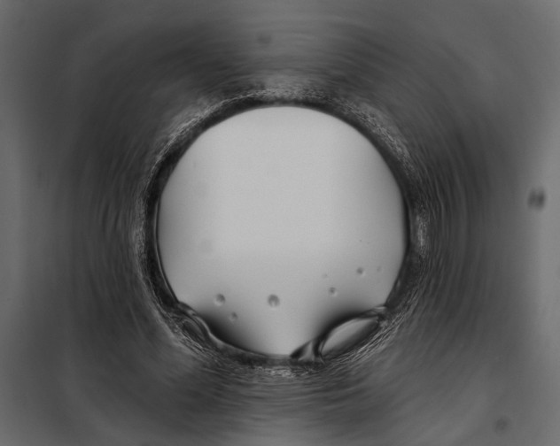 X0000098030588200804251417