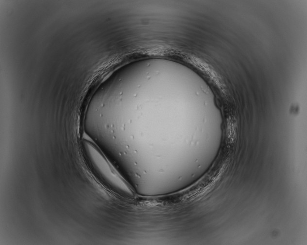 X0000098030589200804251417