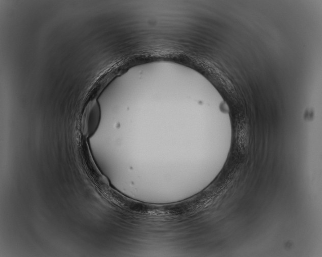 X0000098030591200804251417