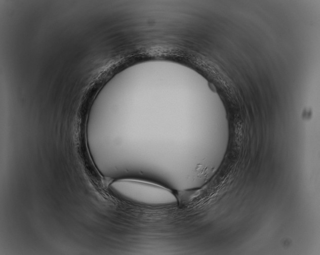 X0000098030592200804251417