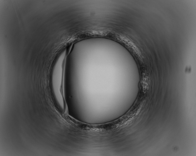 X0000098030593200804251417