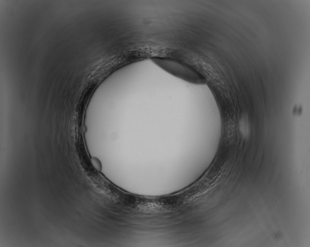 X0000098030594200804251417