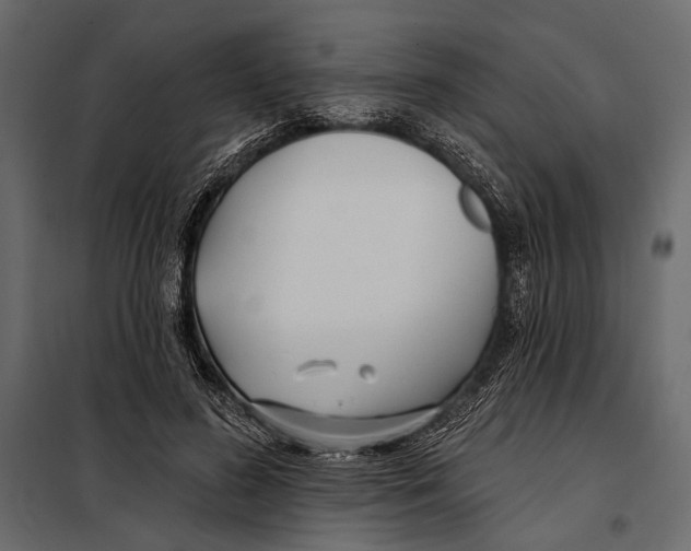 X0000098030596200804251417