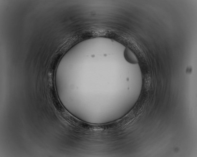 X0000098030598200804251417