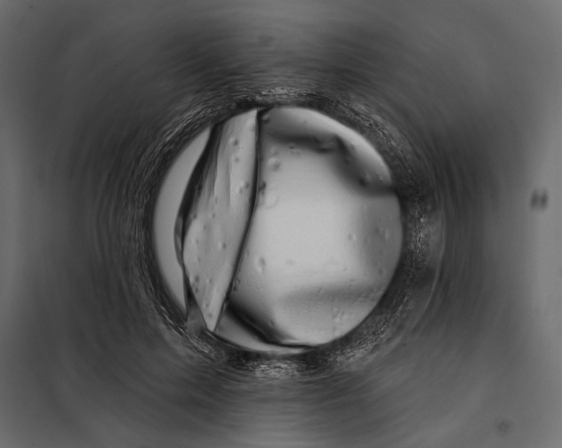 X0000098030599200804251417