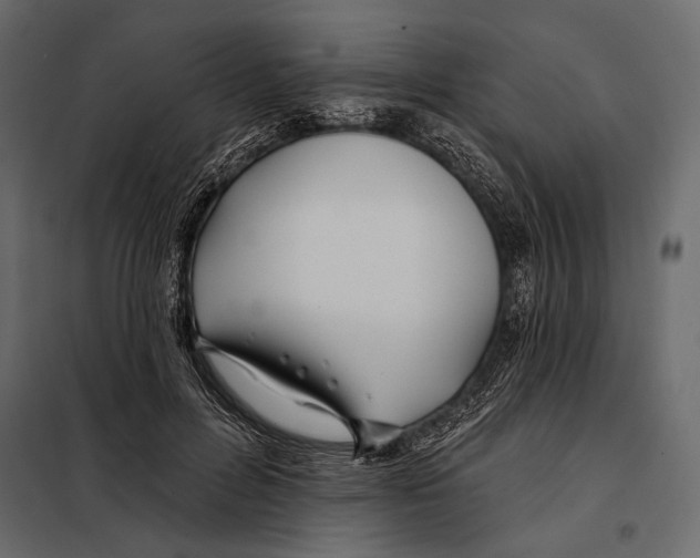 X0000098030600200804251417