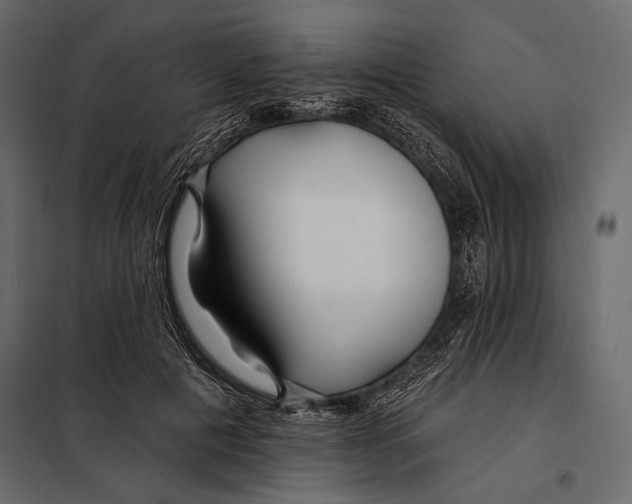 X0000098030601200804251417