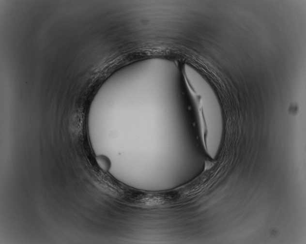 X0000098030604200804251417