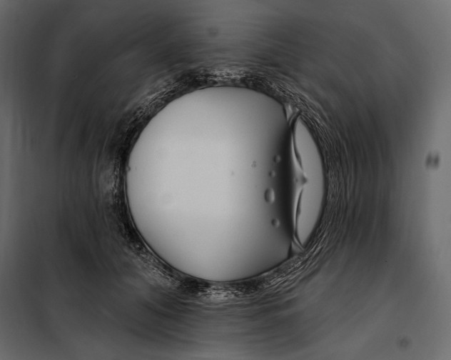 X0000098030608200804251417