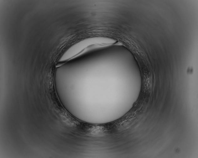 X0000098030609200804251417