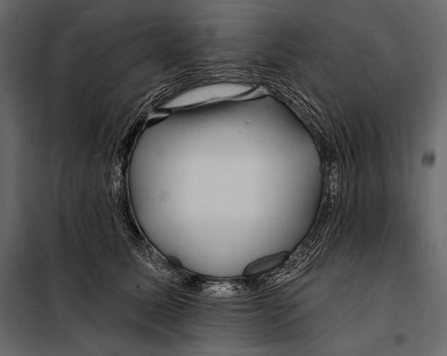 X0000098030611200804251417