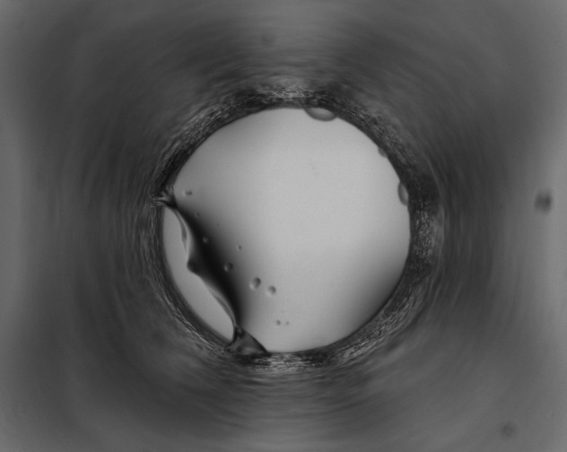 X0000098030612200804251417