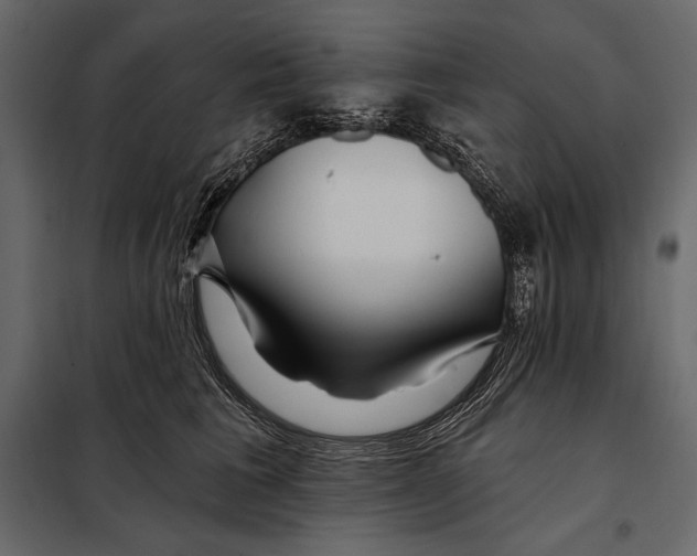 X0000098030613200804251417