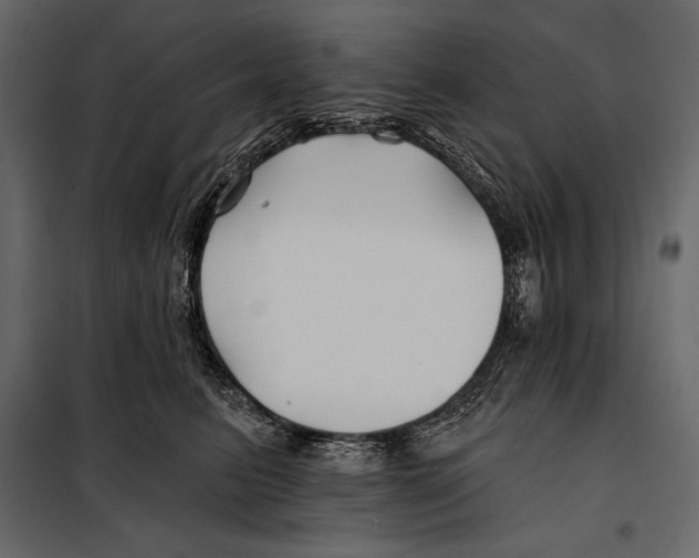 X0000098030615200804251417