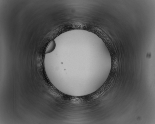 X0000098030616200804251417