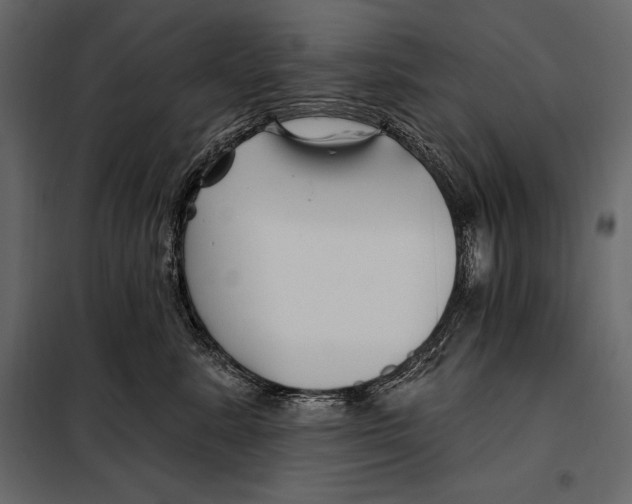 X0000098030619200804251416