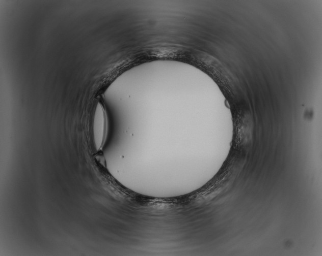 X0000098030620200804251416