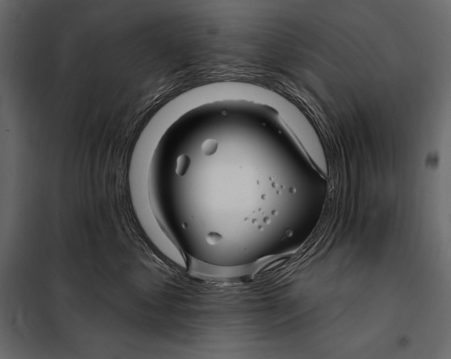 X0000098030621200804251416