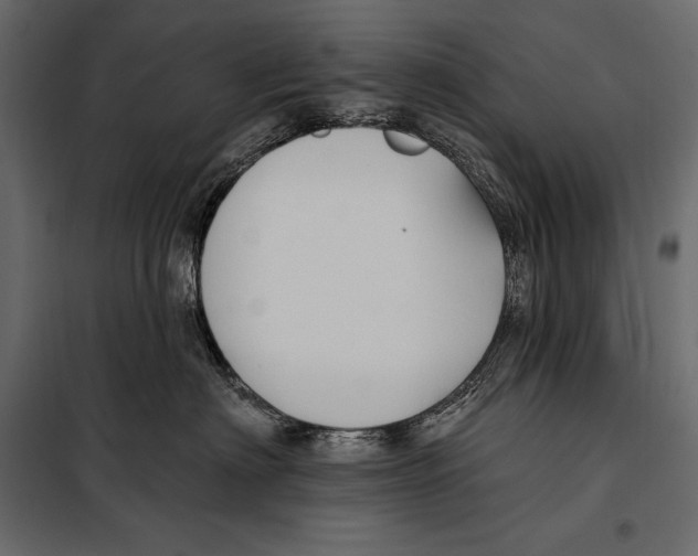 X0000098030622200804251416