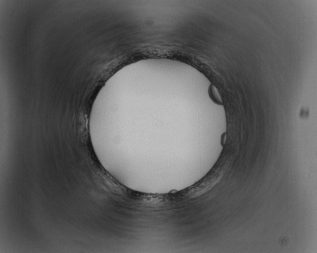 X0000098030624200804251416