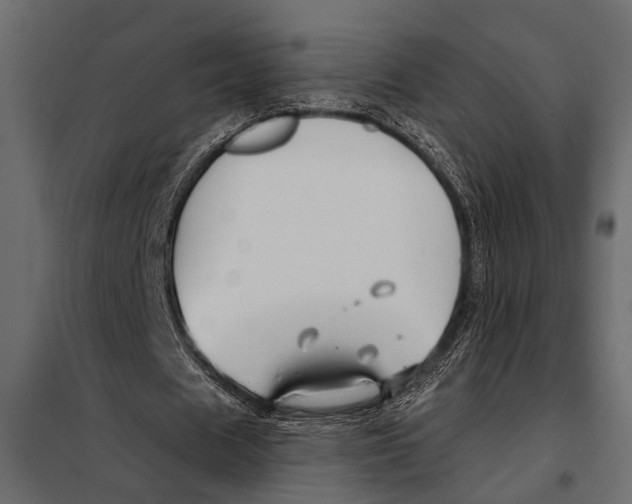 X0000098030625200804251416