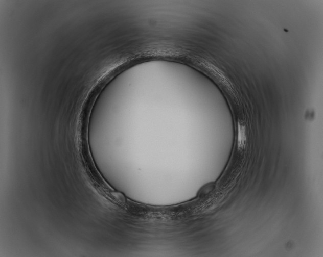 X0000098030627200804251416