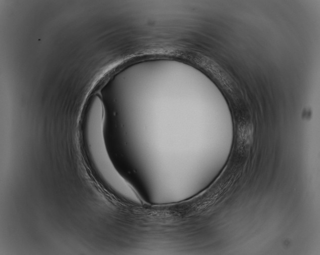 X0000098030628200804251416