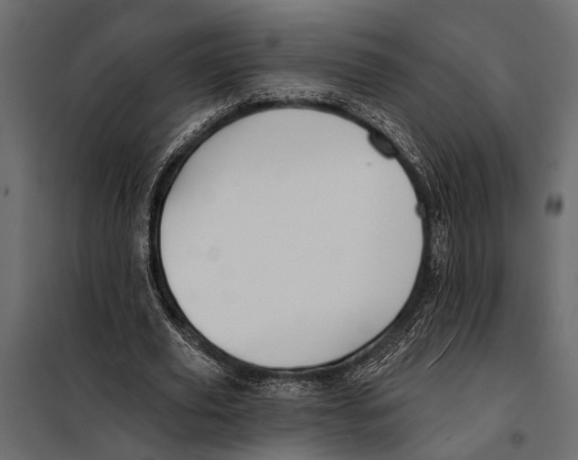 X0000098030629200804251416