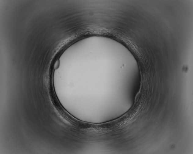 X0000098030630200804251416