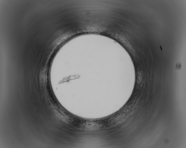 X0000098030632200804251416