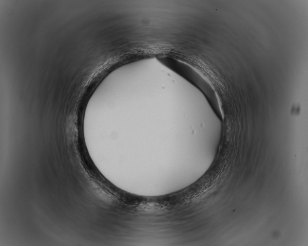 X0000098030634200804251416